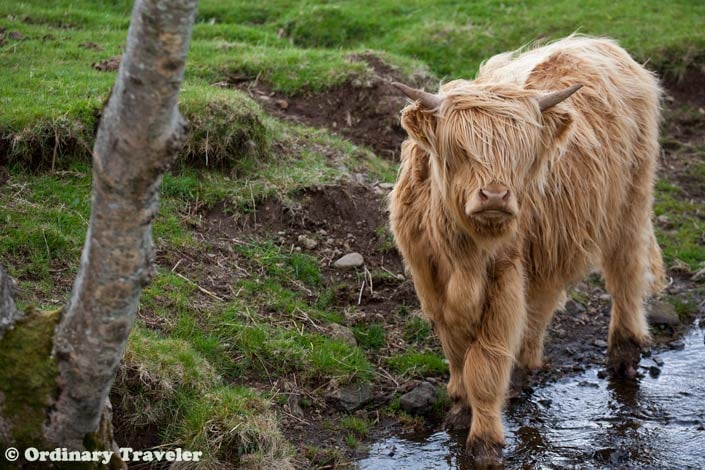 The Hebrides, Scotland Travel Tips