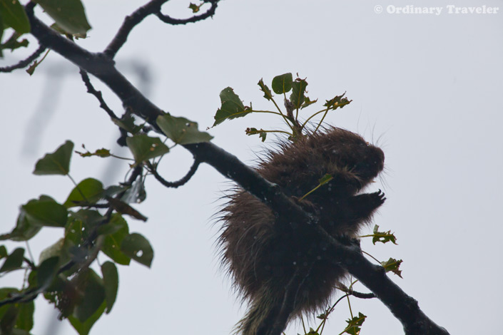 See What You're Missing in Southeast Alaska