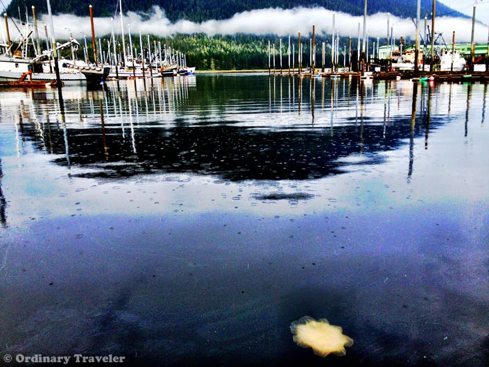 See What You're Missing in Southeast Alaska