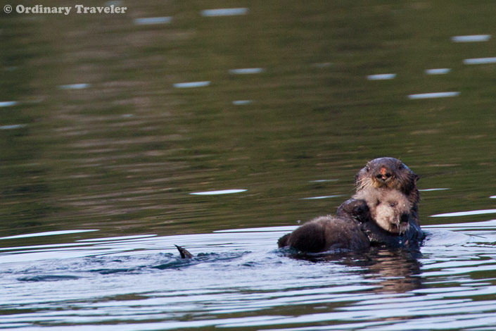 See What You're Missing in Southeast Alaska