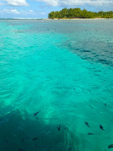 Snorkeling at Blue Bay in Mauritius