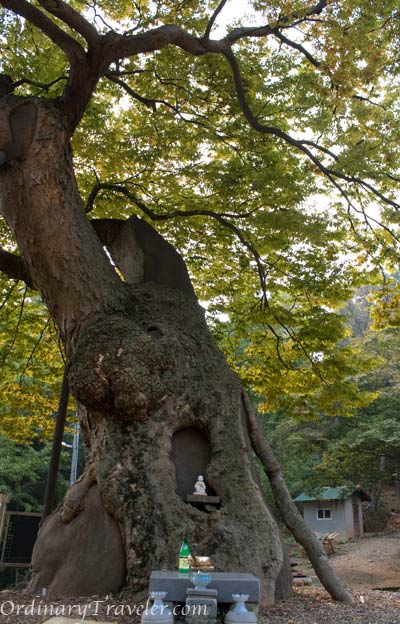 The Yonggungsa Temple Incheon South Korea