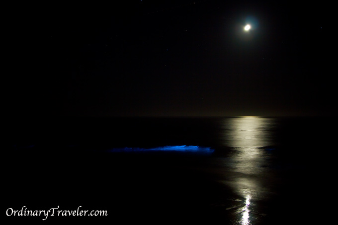 Red Tide Magic - Bioluminescence Captured at Night in San Diego