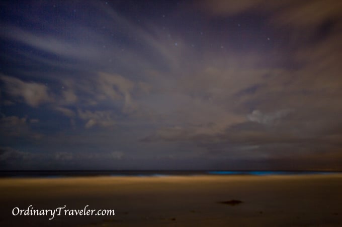 Red Tide Magic - Bioluminescence Captured at Night in San Diego