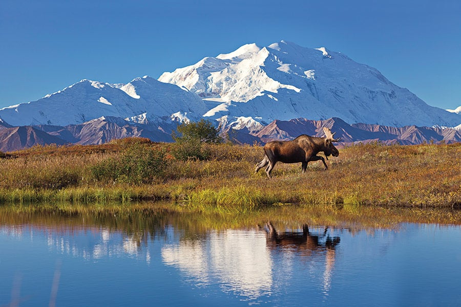 8 Bucket List Experiences in Alaska