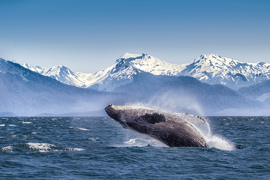 8 Bucket List Experiences in Alaska