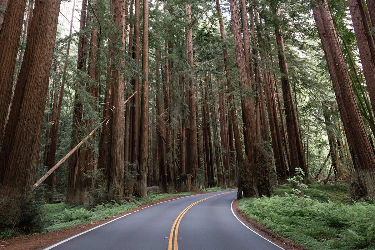 The Best Road Trips In California