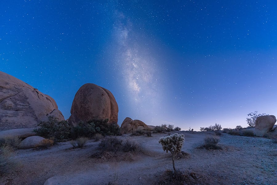 Camping In Joshua Tree (When To Go & The Best Campgrounds)