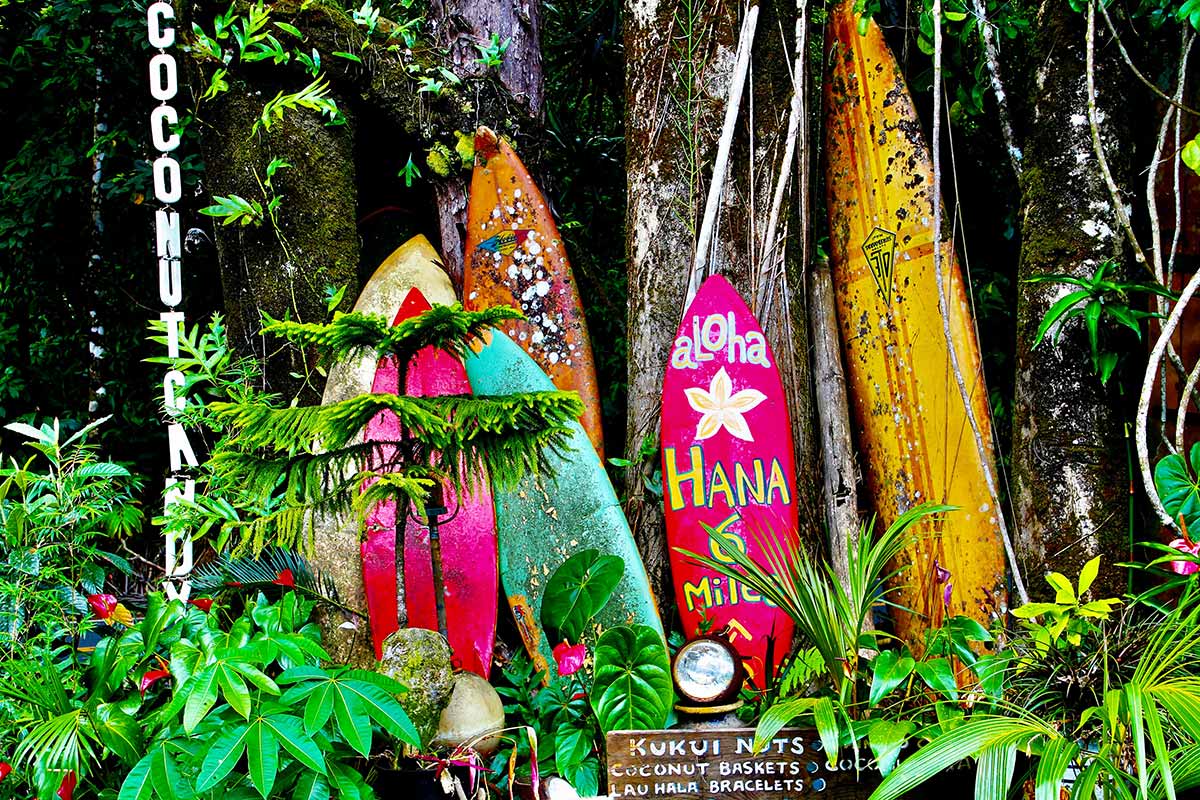 surfboards on the road to Hana in Maui