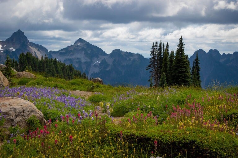 14 Epic Weekend Getaways in Washington State (2024)