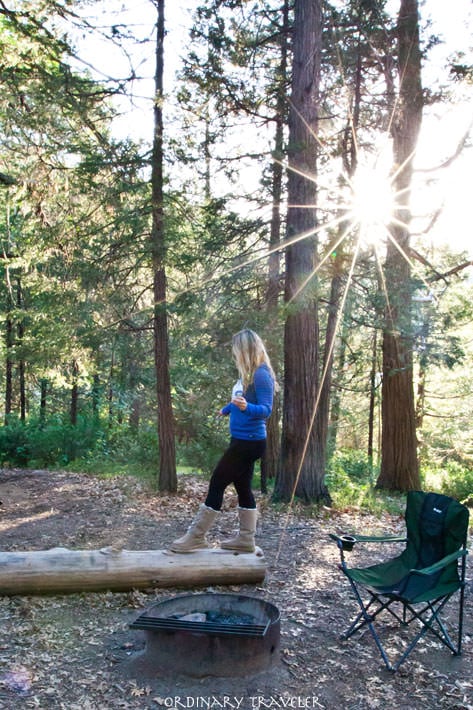 Best Spots to Camp in California Palomar Mountain