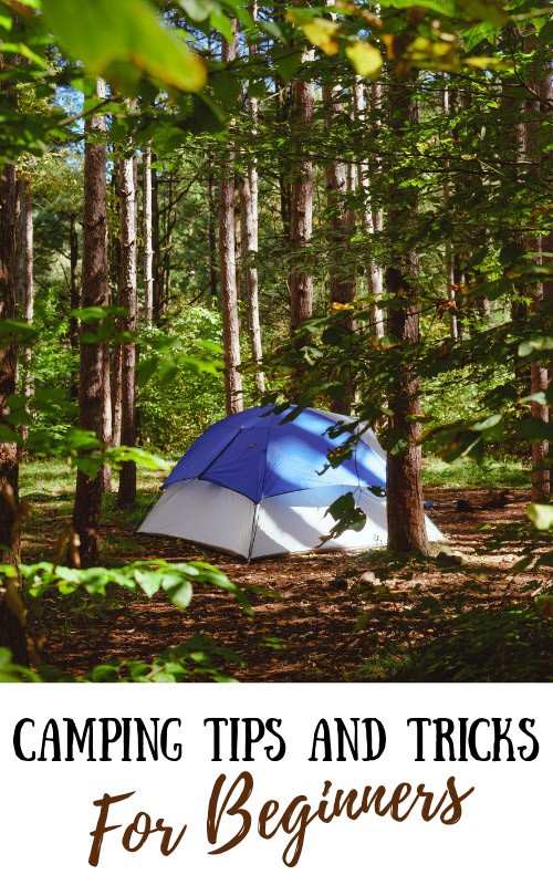 Camping Tips for Beginners: Equipment, Booking, Budget Tips & More!