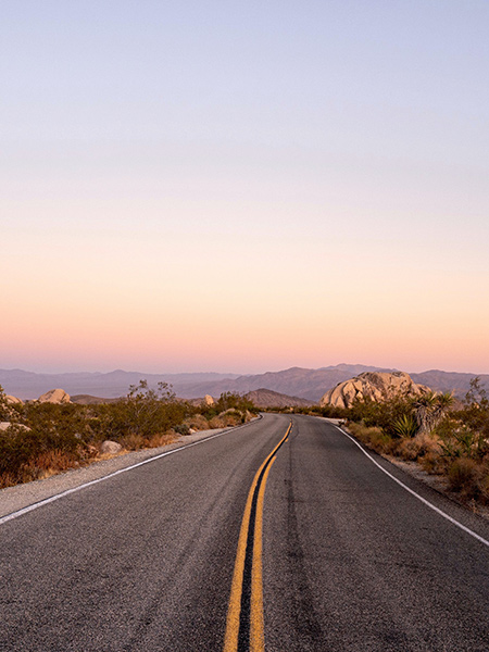 Camping In Joshua Tree (When To Go & The Best Campgrounds)