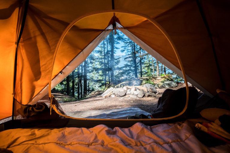 Camping Tips for Beginners: Equipment, Booking, Budget Tips & More!