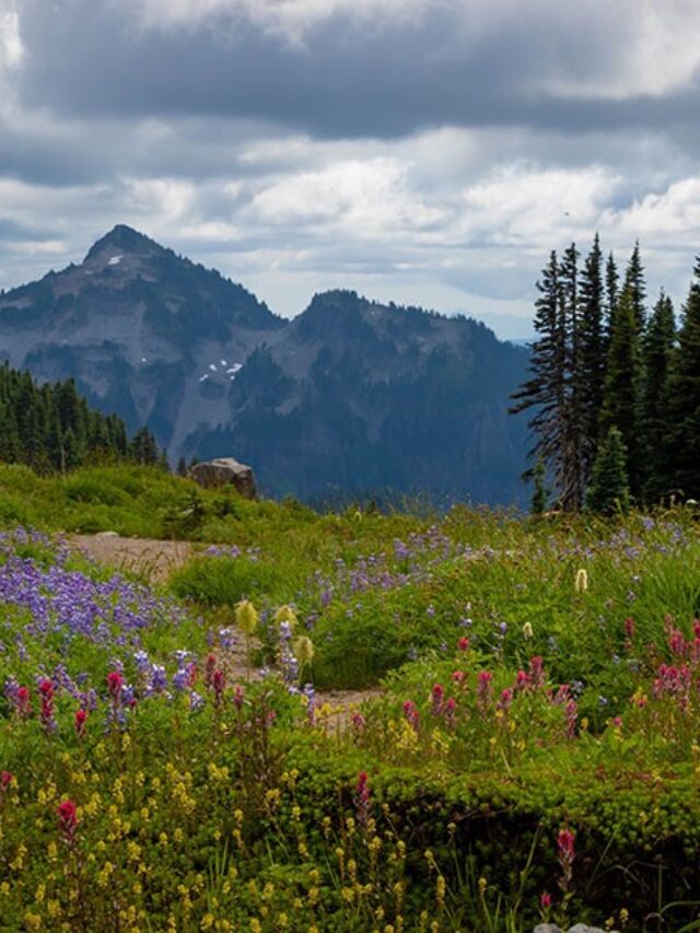 Best Weekend Getaways In Washington State + Where To Stay Story