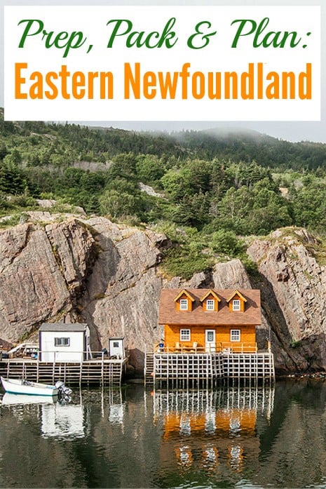 Eastern Newfoundland Travel Guide & Packing Tips