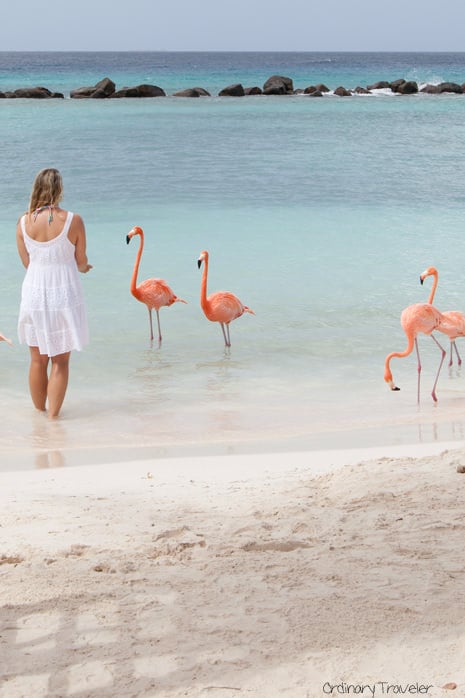 Top Ten Things to Do in Aruba