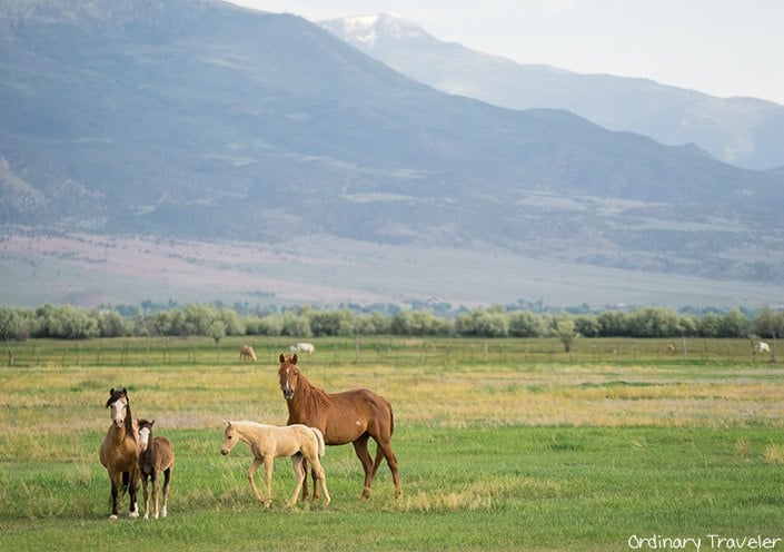 Camping in Southern Utah: Everything You Need to Know