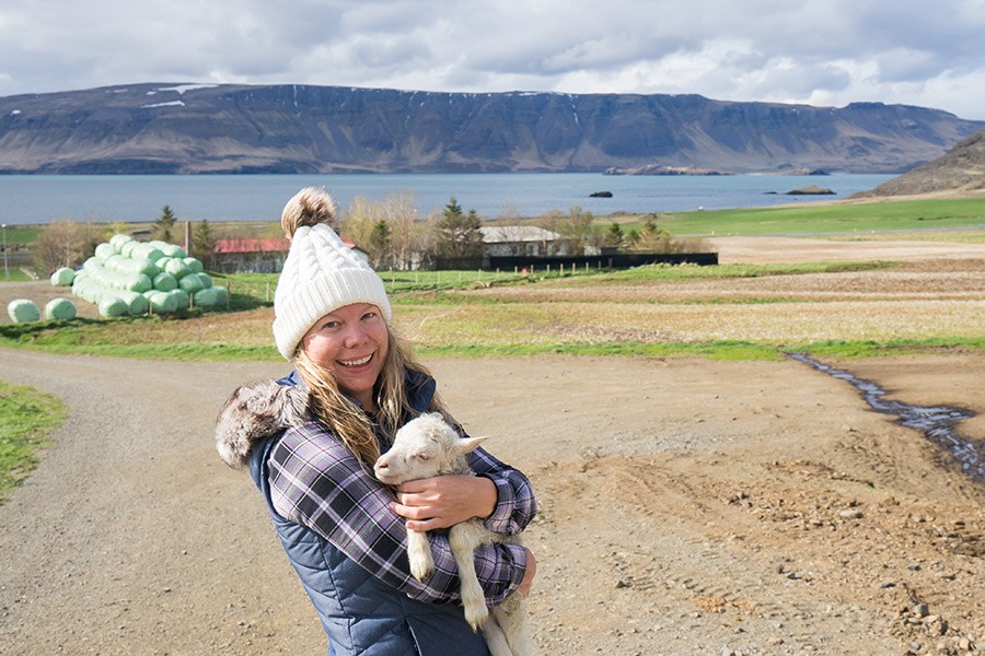 Bjarteyjarsandur farm in Hvalfjörður