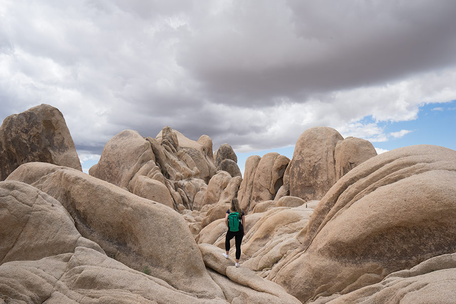 Camping In Joshua Tree (When To Go & The Best Campgrounds)