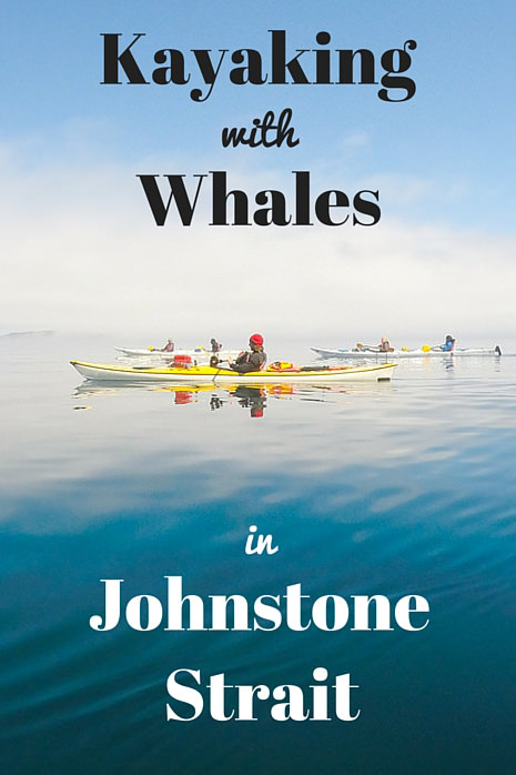 Kayaking with Whales in Johnstone Strait, North Vancouver Island
