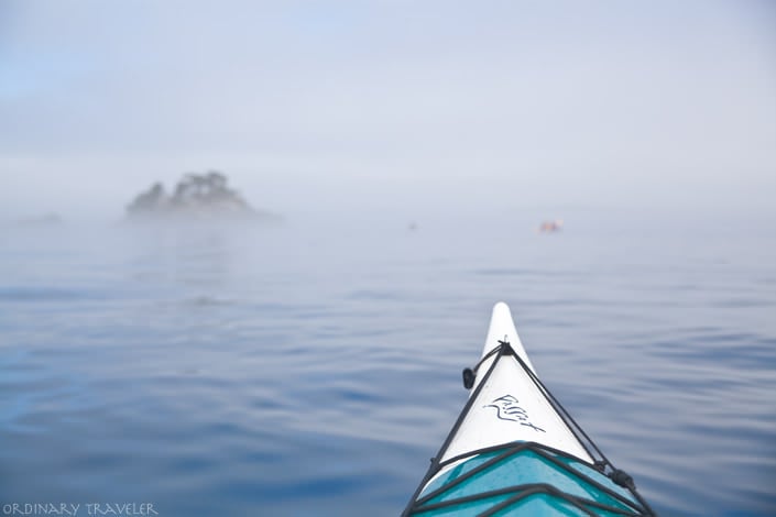 Kayaking with Whales in the Johnstone Strait - North Vancouver Island