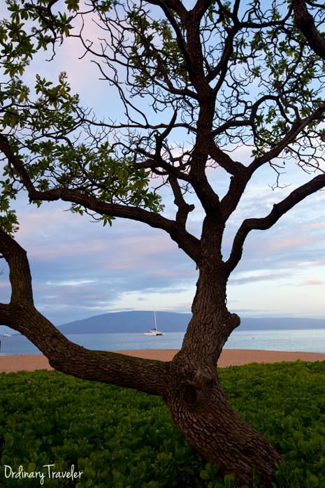 winter activities in maui