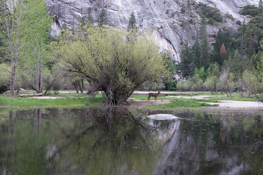 Mirror Lake Trail - Yosemite National Park