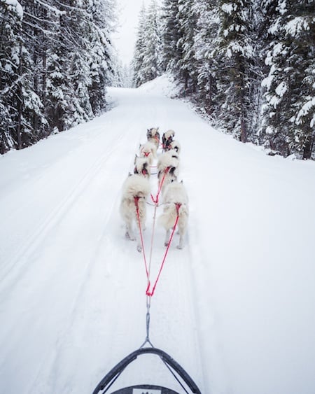 5 Ways to Connect With Nature in Montana This Winter