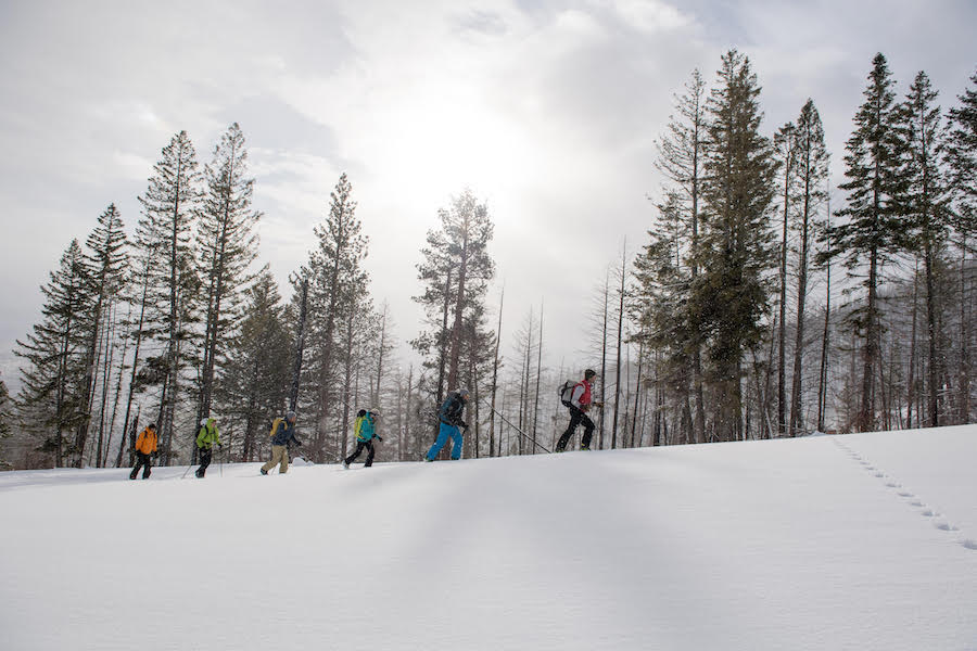 5 Ways to Connect With Nature in Montana This Winter