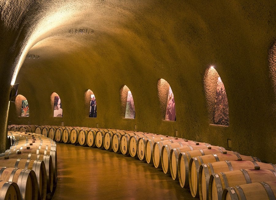 How to Visit Napa on a Budget