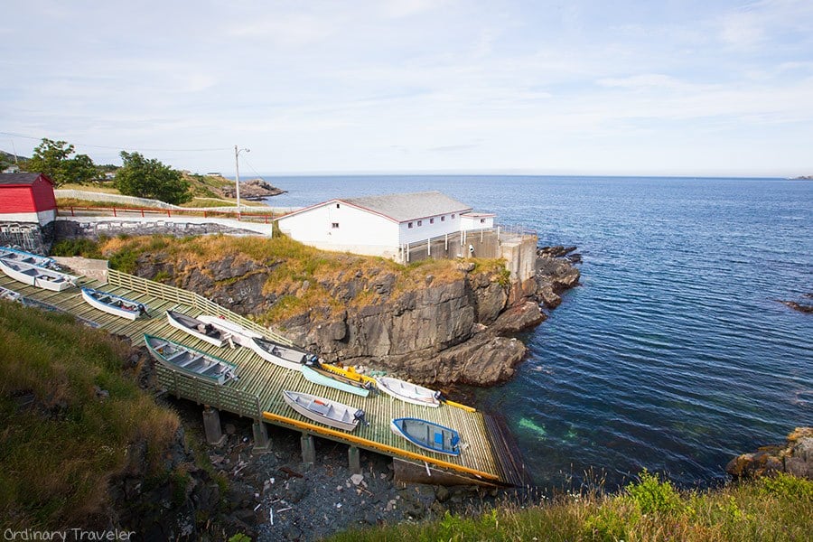 The Best Time to Visit Eastern Newfoundland