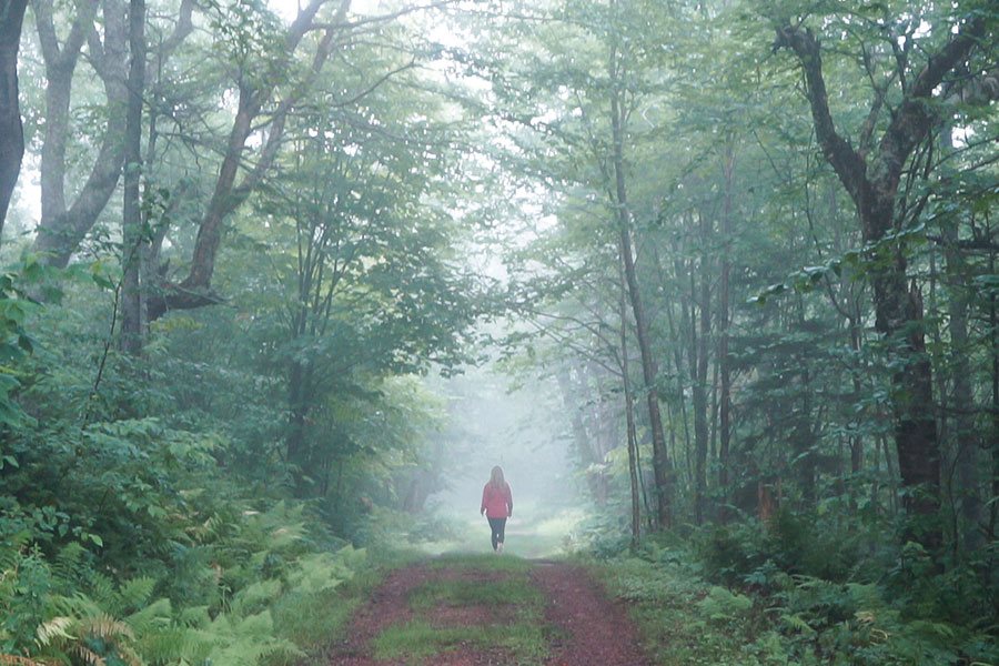 Cape Chignecto Provincial Park - Nova Scotia, Canada