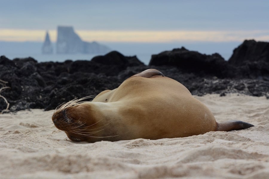 Galapagos Islands Travel Tips: Everything You Need to Know