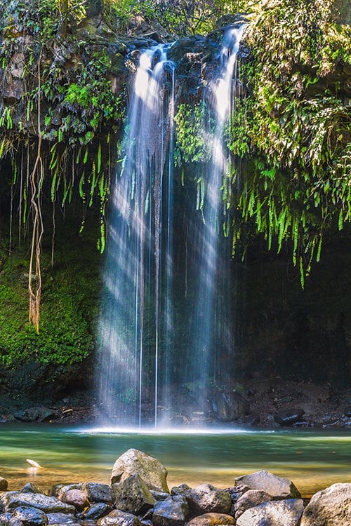 3 Reasons Why You Should Book a Maui Timeshare Rental