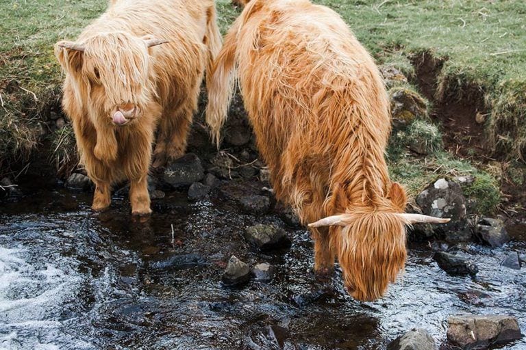 What to Pack for a Trip to Scotland