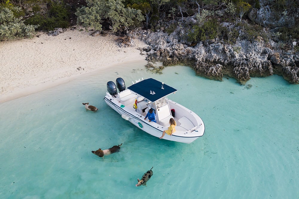 Staniel Cay Bahamas Swimming With Pigs Tour