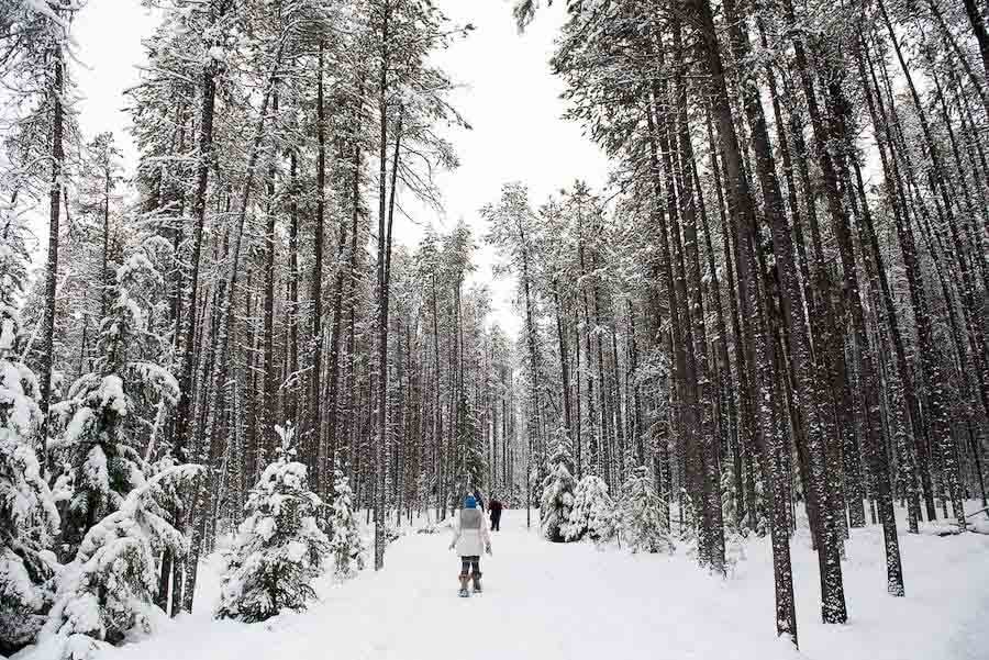 5 Ways to Connect With Nature in Montana This Winter