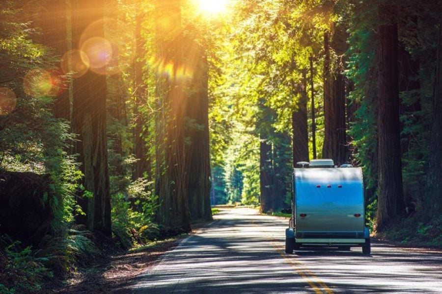 Should I Buy a Travel Trailer or a Campervan - Which is Better?
