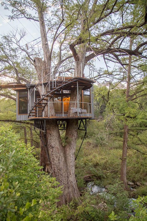 Treehouses at Cypress Valley