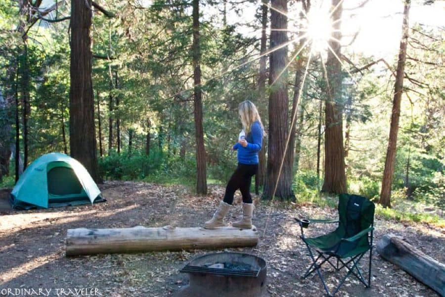 The Ultimate Guide To Vegan Camping