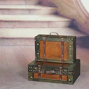 Vintage Suitcase Trunks for Travel Home Decor