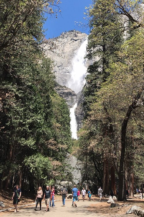 Yosemite Falls - Yosemite National Park, California