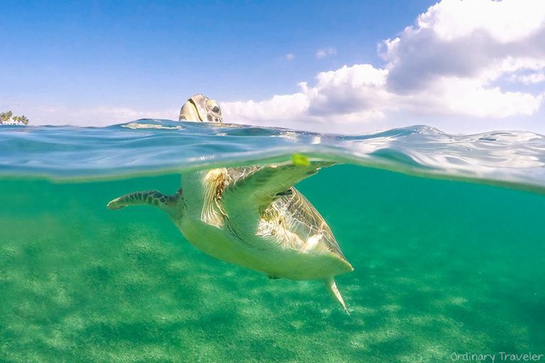 10 Epic Photos of Mexico’s Yucatán Peninsula