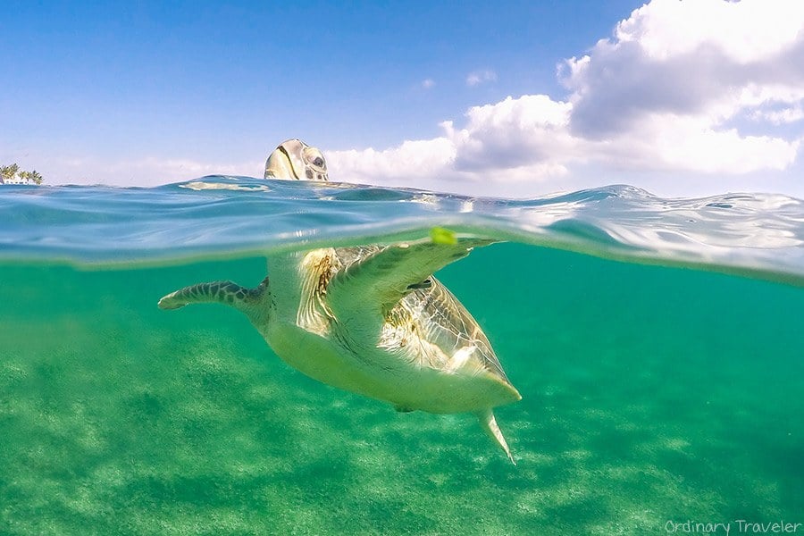 10 Epic Photos of Mexico's Yucatán Peninsula